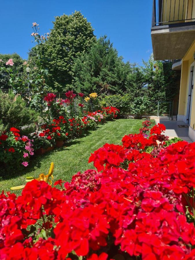 페스칸티나 Casa Andre 아파트 외부 사진